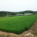 민통선농가집 이미지