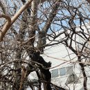 거북섬마리나 | 정왕역 출발 거북섬마리나 라이딩 코스 후기 (바다 보며 달린 힐링 라이딩)