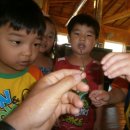 아침이슬팬션 이미지