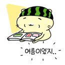 로이펫살롱 이미지