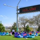 그린아일랜드 야외도서관 이미지