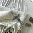 (주)곰소프트 이미지