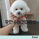 우한수 애견미용실 네이버블로그
