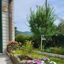 배나무실의 아침 이미지