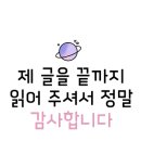 두부네 푸딩들