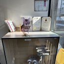 이쁘면다냥 이미지