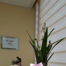 우현유치원 이미지