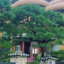 솥밥한상 - 용인시 처인구 | 솥밥한상
