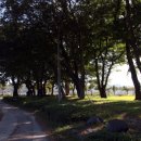 사천 희망길 이미지