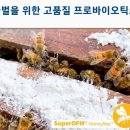 생명현상의 근본대책 이미지