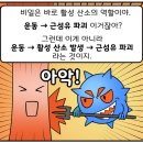 ◇팔꿈치, 어깨, 무릎, 손목, 종아리, 햄스트링◇휴식기를 단축시켜 근파열을 방지하는 몬스터기어의 효과◇ 이미지