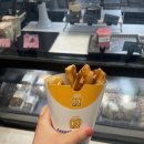 앤티앤스프레즐유성