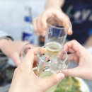 마산합포구 ⓔ-19 | 해물모듬 안주가 맛있는 창원 마산합포구 장군동 마산세무서 근처 술집 내돈내산 후기 : 장군