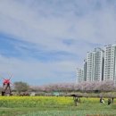 세일부동산중개사무소 이미지