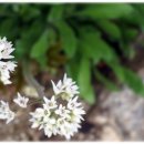 다섯번째이야기 이미지