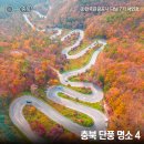 백두대간 생태전시관 본관(1층) | 충청도 가을 가볼만한곳 단풍 명소 청남대 배론성지 말티재전망대 비룡담 저수지