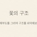 보태니컬 아트 이미지