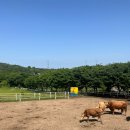 소연목장 이미지