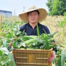 김경식농장 이미지