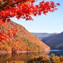 볼락 밤낚시 체험 이미지