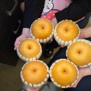 드래곤기공소 이미지