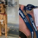 현대자동차 대리점 앞 이미지