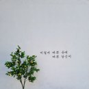 오시다(OSIDA) | 남해카페 힐링뷰맛집 오시다