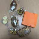 (주)진미환경 | [콩, 순간] 12月 둘째 주 일상