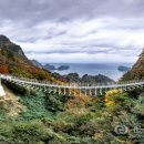 울릉이당 이미지