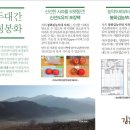 봉화김농부네사과