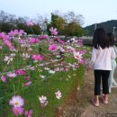 GR(고령군)-[대가야로]-상-36 | 고령 대가야캠프 동물도 있고 아이들 놀기좋은 캠핑장 아쉬운 사이트