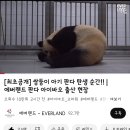 (주)피드에버 이미지