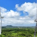 한림태양광발전소 이미지