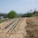 옥천농장 이미지