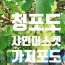 현경농장 네이버블로그