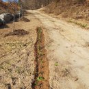 조성농장 이미지