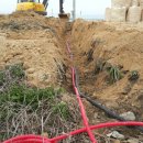 지선농장 이미지