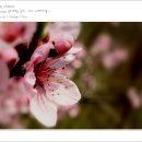 머리마을 - 부천시 원미구 | 머리마을