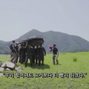 &#39;우리 할머니도 그것보단 더 잘올라가겠다&#39;... 요지부동의 LG생활건강 이미지