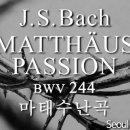 창단 35주년 정기연주회 네이버블로그