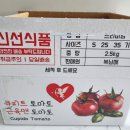 큐피트 | 복남매 큐피트토마토 후기
