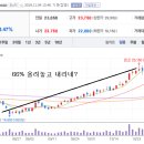 비에이치투어