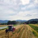 보옥농장 이미지