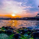 Peaceful Relaxing Music 2026 🌅 Golden Sunset Collection! #oldsong 이미지