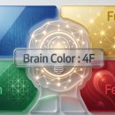 브레인컬러연구소 이미지