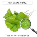 이소 | 소우코우 이소비텍신 (+내돈내산 후기) 다이어트 직구 효과 부작용