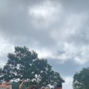 신진도해수사우나 이미지