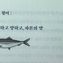 사카나 - 성남시 분당구 백현로101번길 17 | 사카나