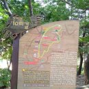 구덕산책로 숲길 이미지