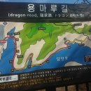 담양횟집